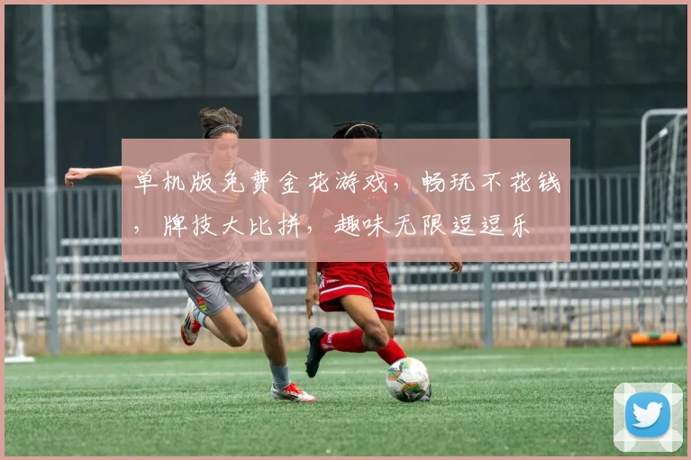 单机版免费金花游戏，畅玩不花钱，牌技大比拼，趣味无限逗逗乐