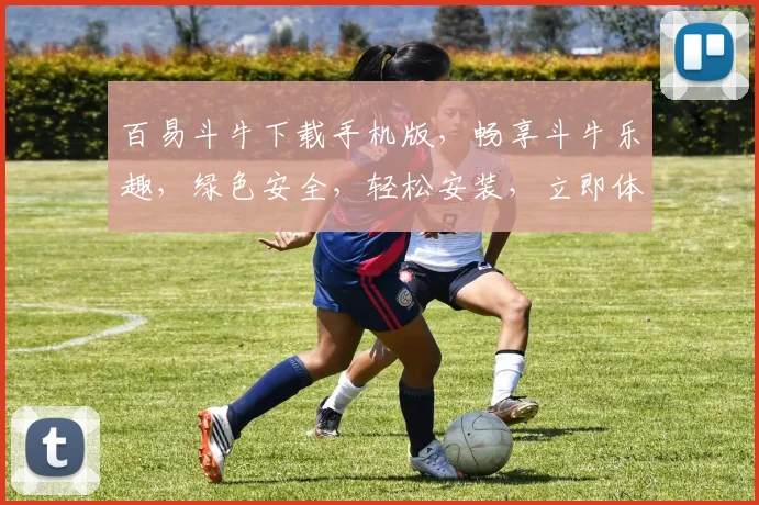 百易斗牛下载手机版，畅享斗牛乐趣，绿色安全，轻松安装，立即体验