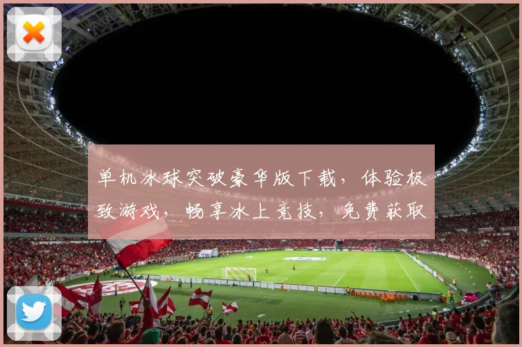 单机冰球突破豪华版下载，体验极致游戏，畅享冰上竞技，免费获取，独家首发